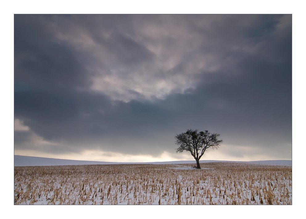 Winter im Kraichgau