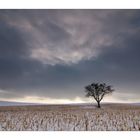 Winter im Kraichgau