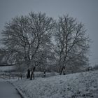 Winter im Kraichgau