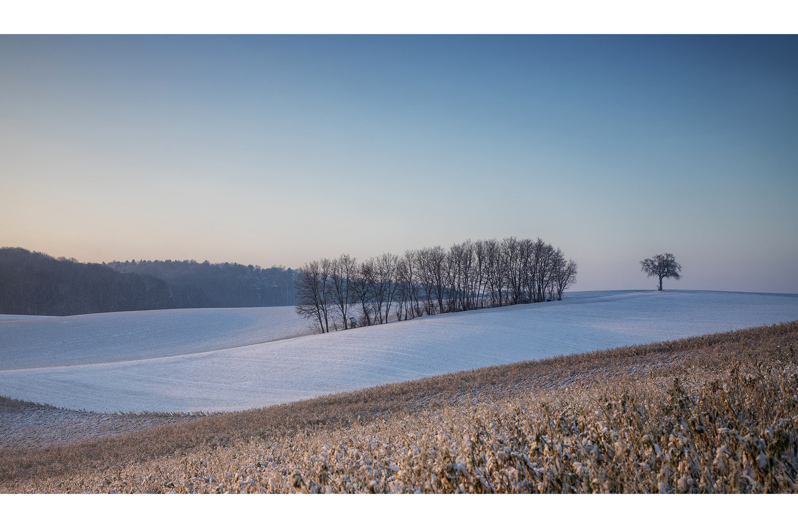 Winter im Kraichgau - Yeah! ;-)