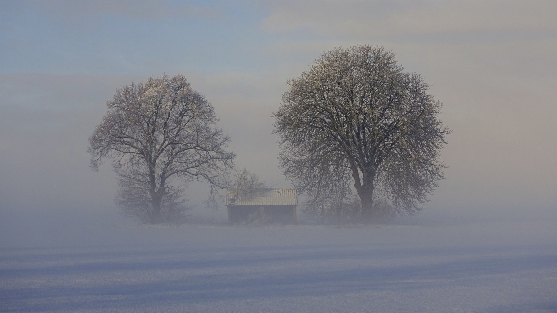 Winter im Kreis Höxter