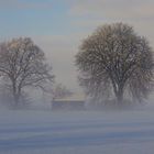 Winter im Kreis Höxter