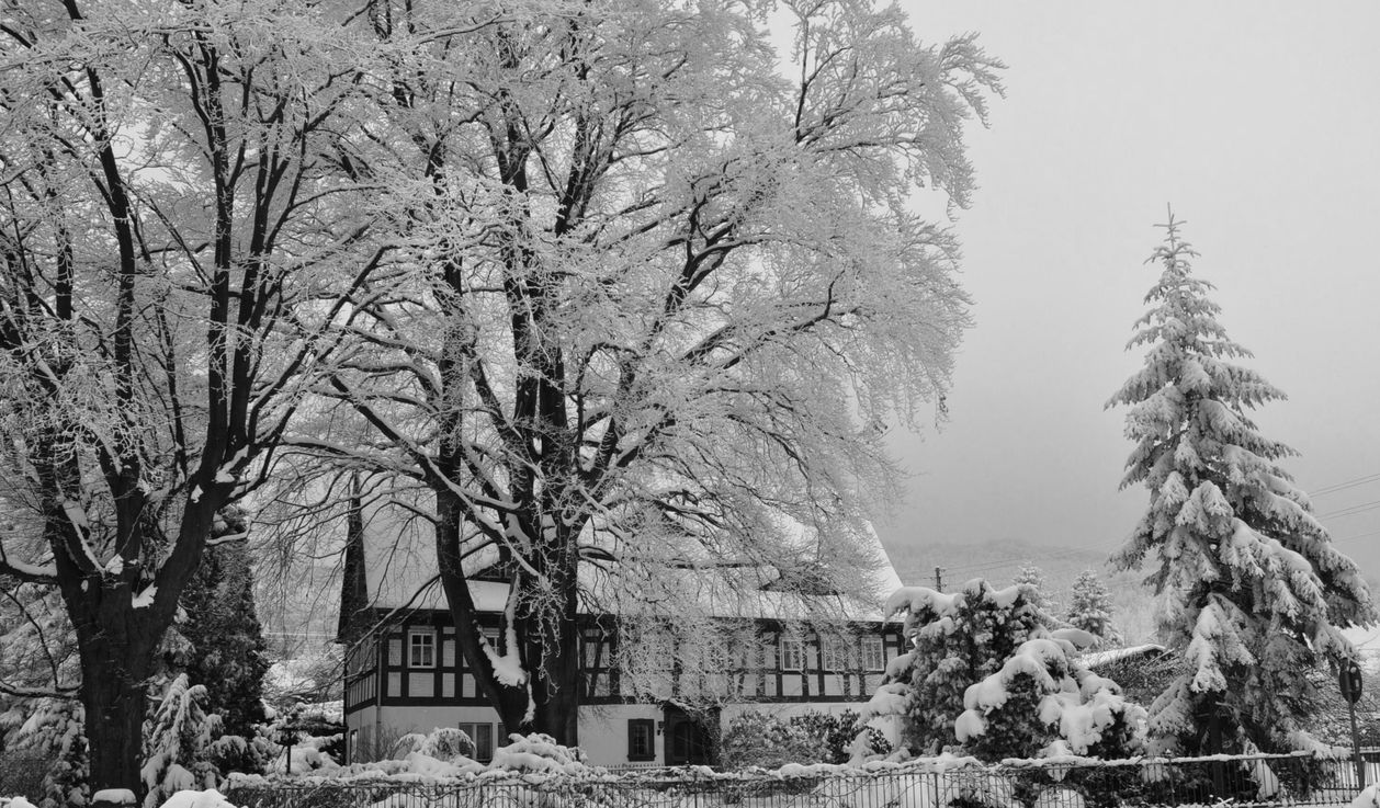 Winter im Kurort Jonsdorf