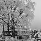 Winter im Kurort Jonsdorf