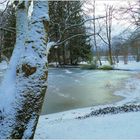 Winter im Kurpark Bad Aibling