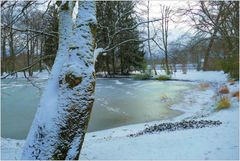 Winter im Kurpark Bad Aibling