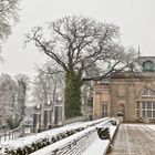 Winter im Kurpark II