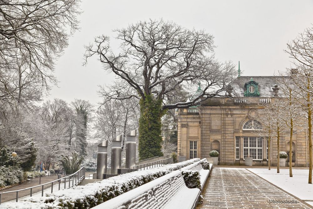 Winter im Kurpark II