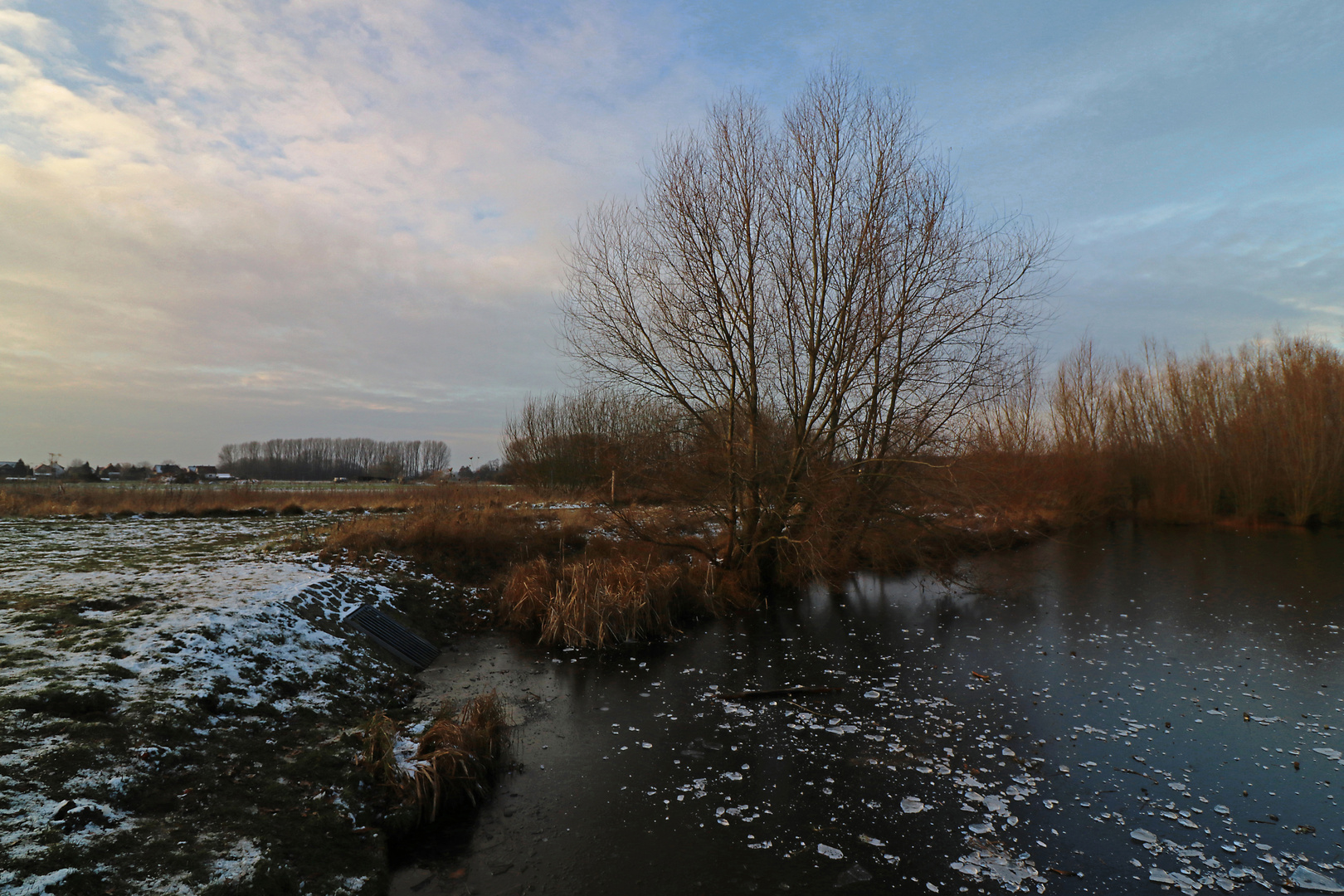 Winter im Lammer Bruch