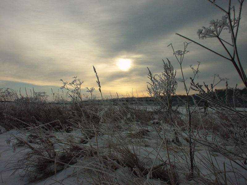 ... Winter im Land Brandenburg ...