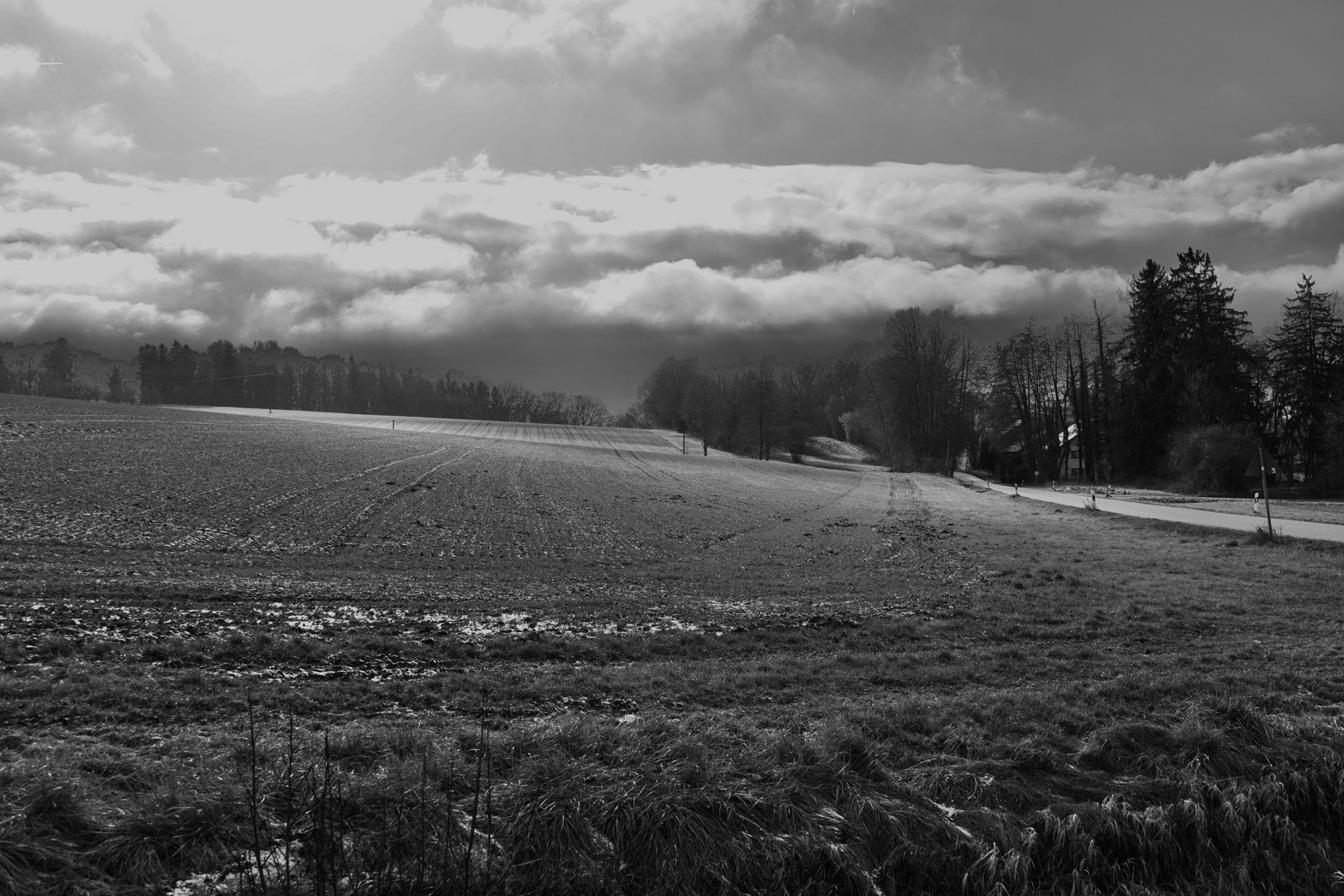 Winter im Landkreis Erding (2)