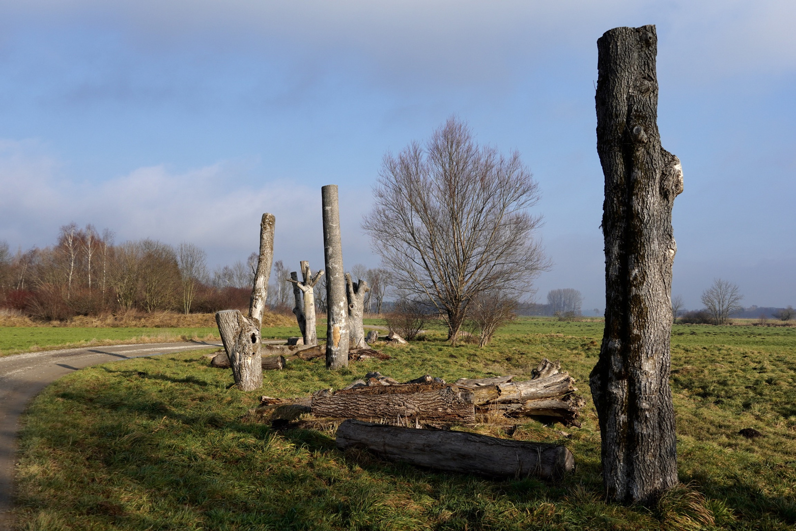 Winter im Landkreis Erding (4a)