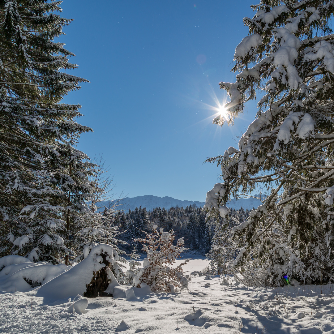 Winter im Landkreis Garmisch Partenkirchen	