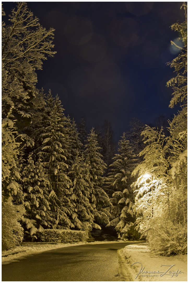 Winter im Landkreis Saalfeld-Rudolstadt