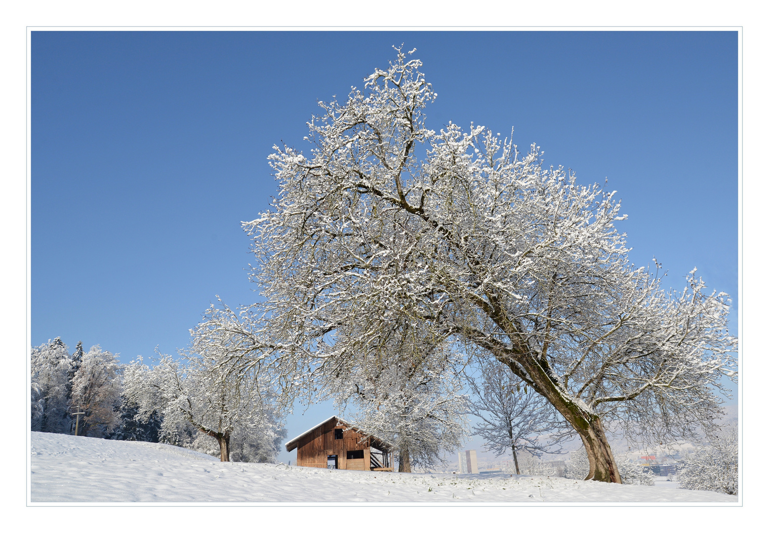 Winter im Limmattal.