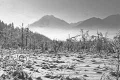 WINTER IM LOISACHTAL