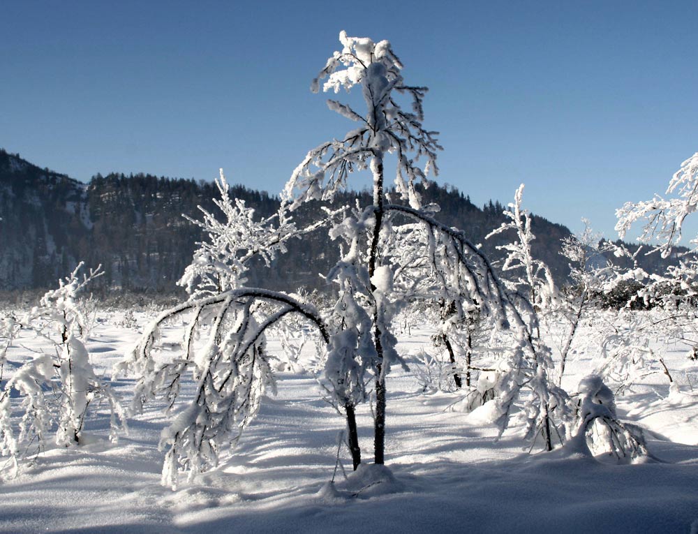 WINTER IM LOISACHTAL 4