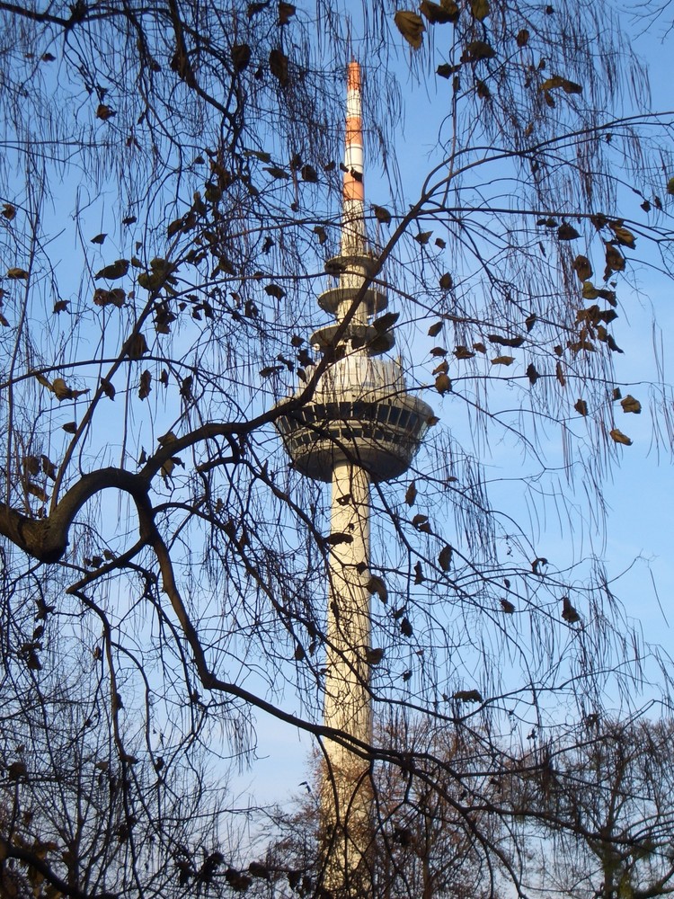 Winter im Luisenpark