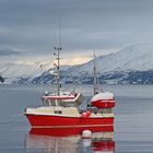 Winter im Lyngenfjord