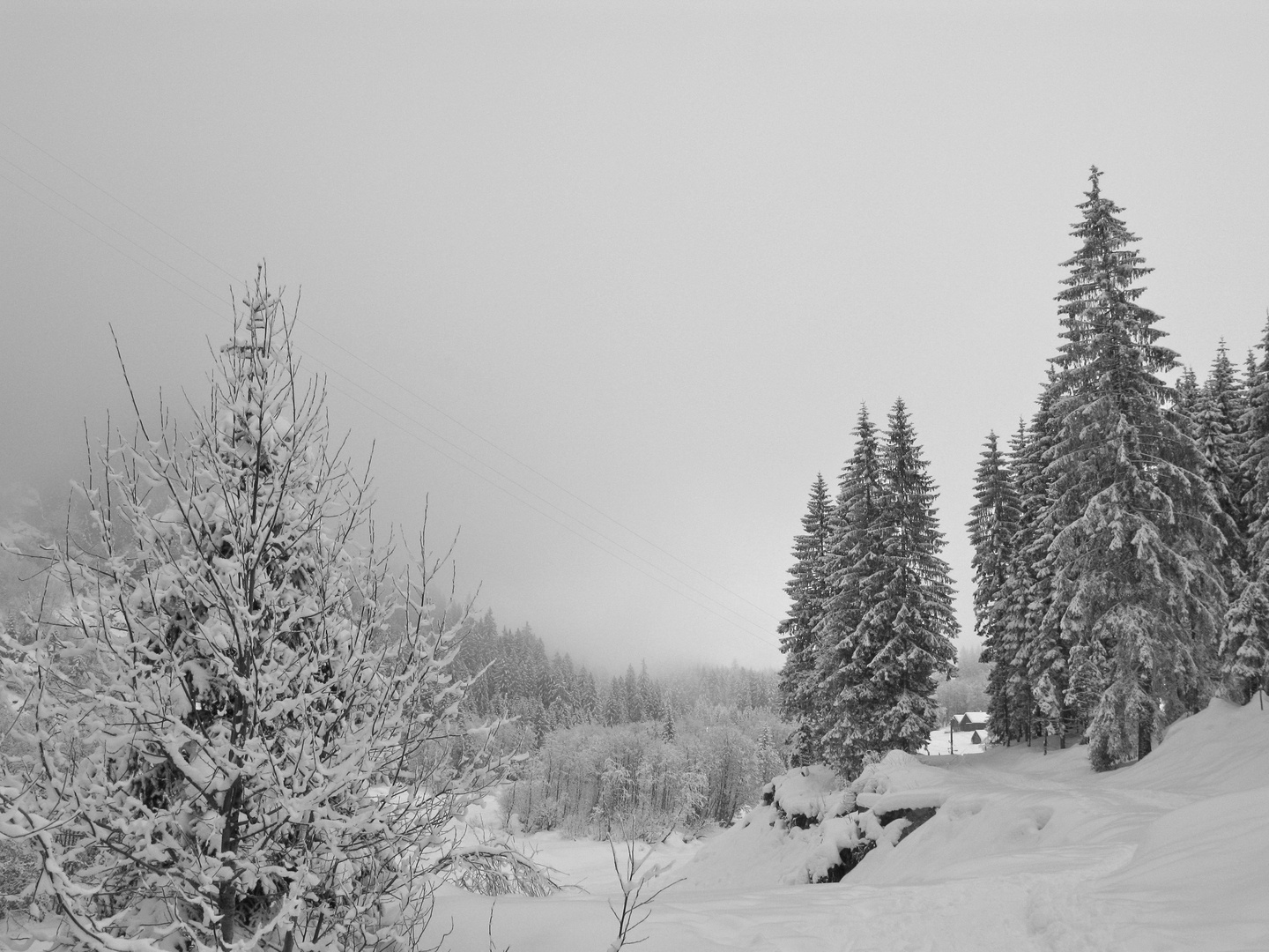 Winter im Maderanertal