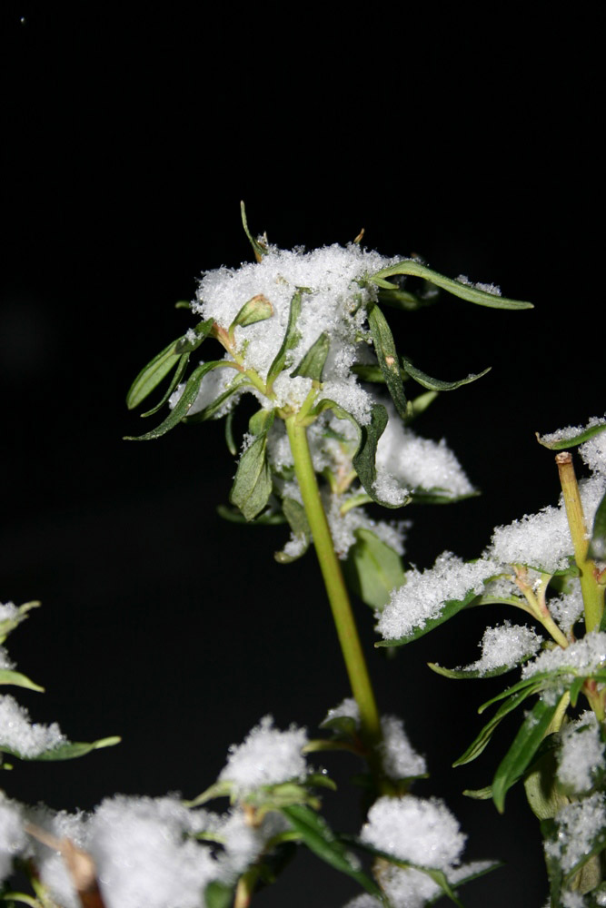 Winter im März