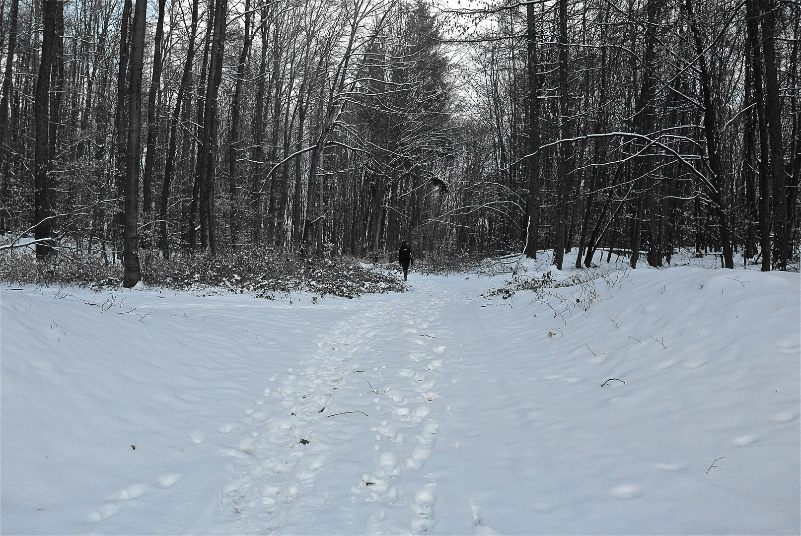 Winter im März