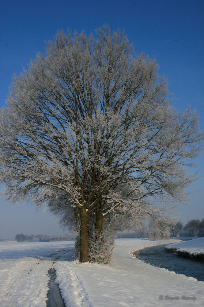 Winter im März