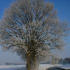 Winter im März