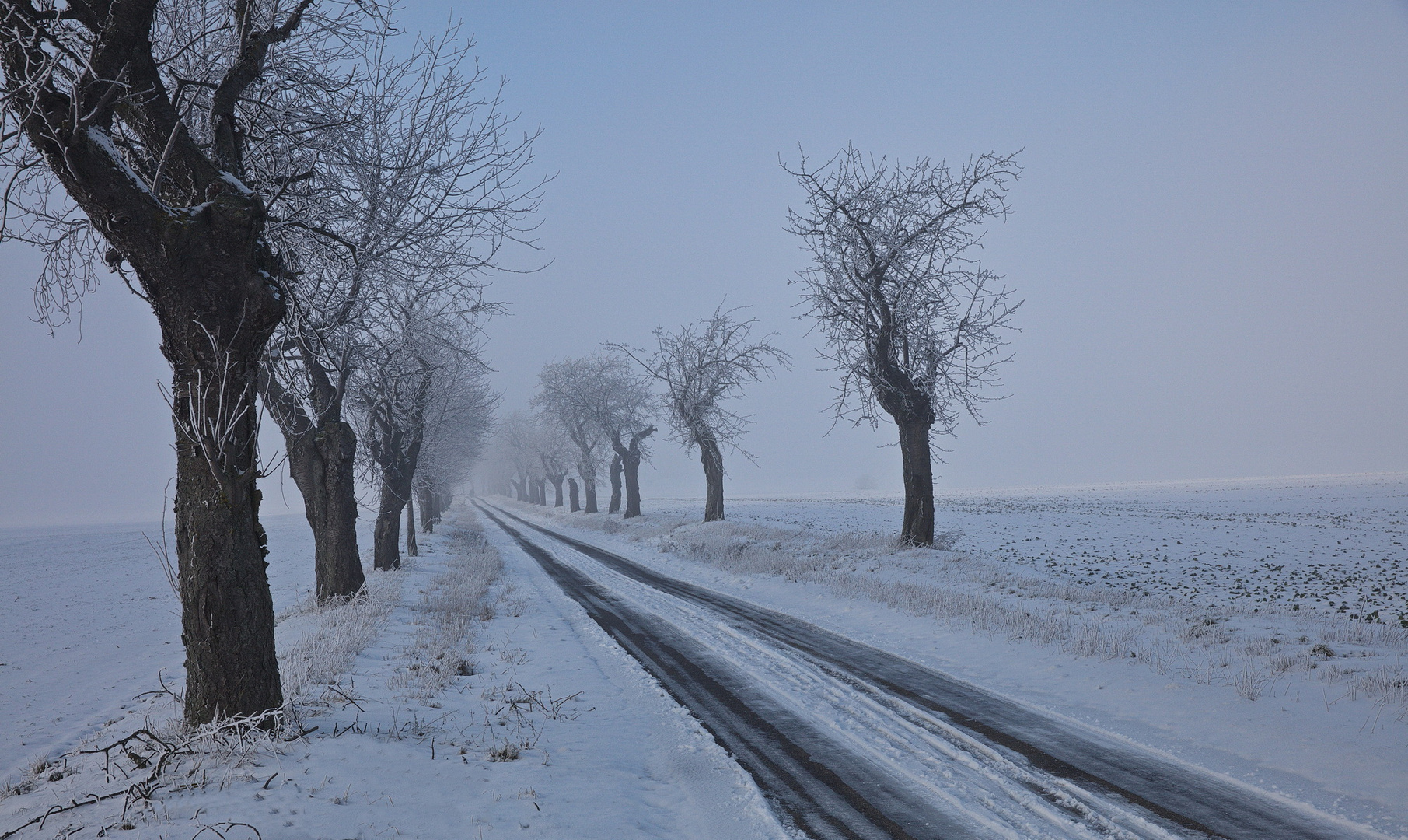 Winter im Mansfelder Land