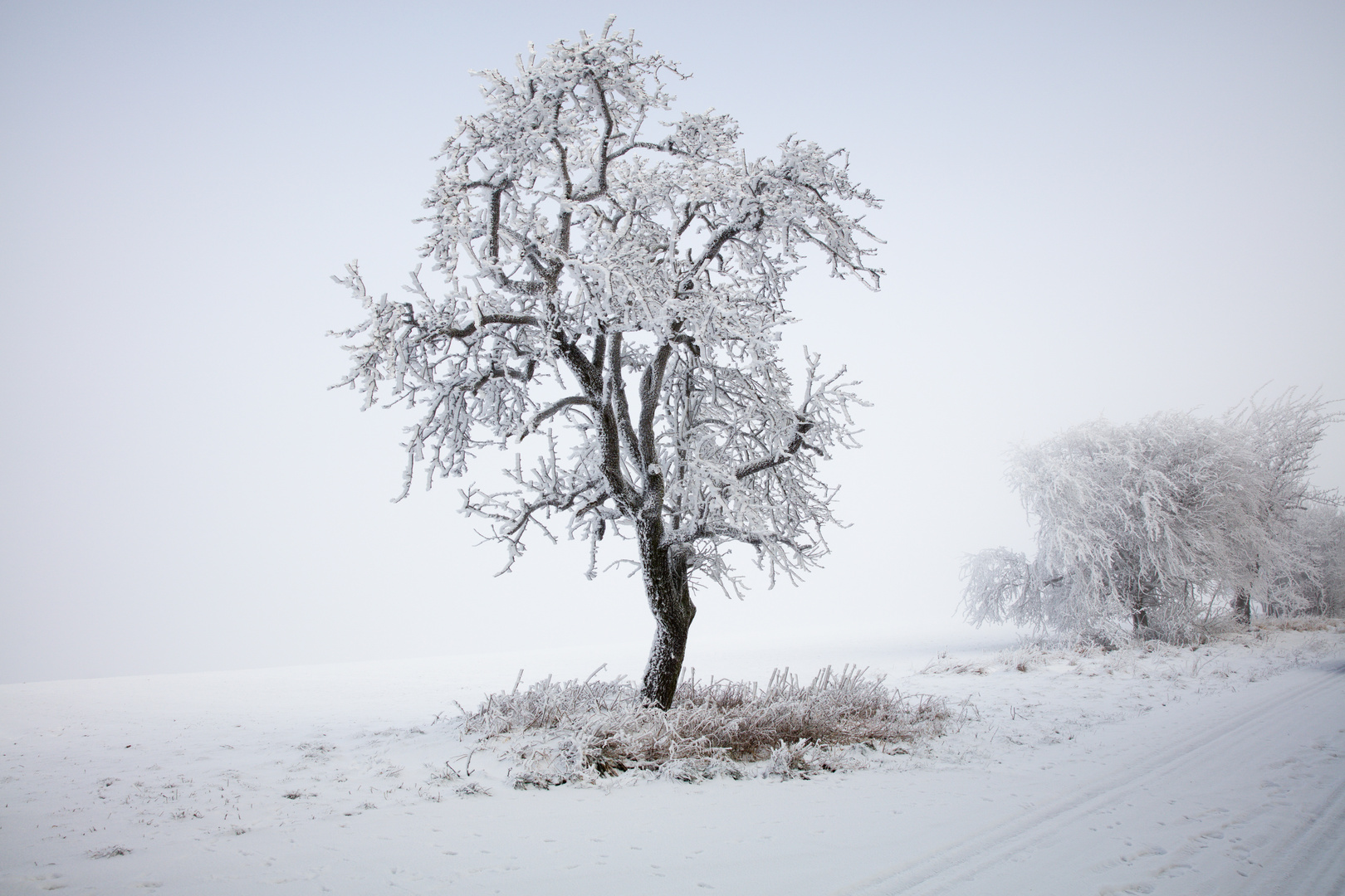 Winter im Mansfelder Land