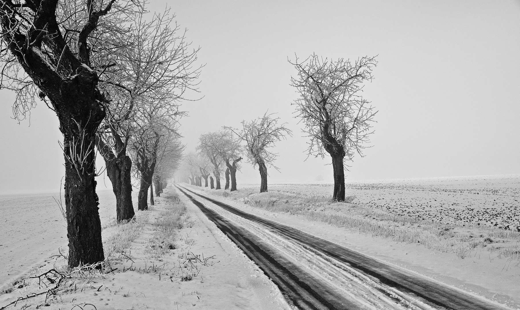 Winter im Mansfelder Land - sw