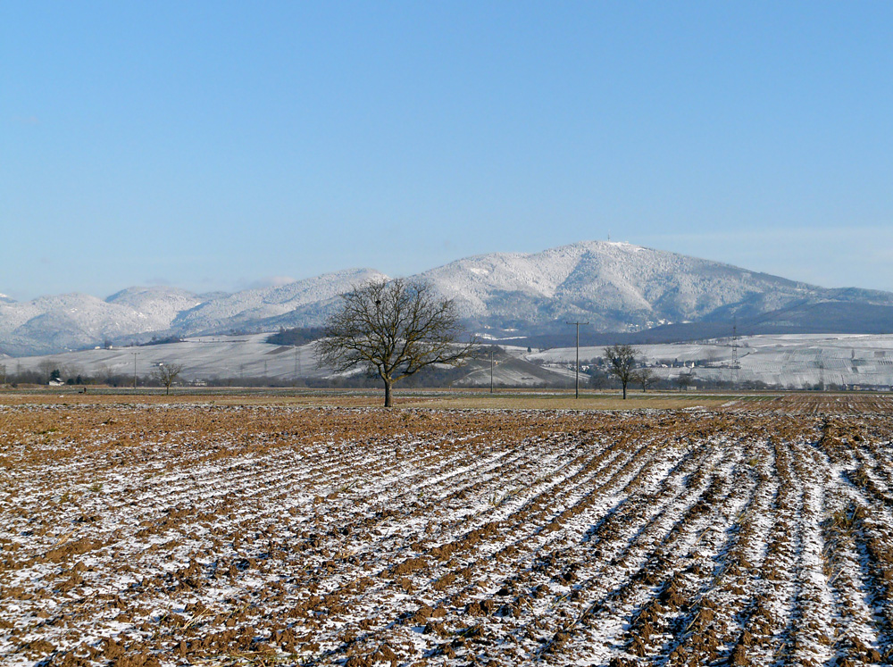 Winter im Markgräfler Land