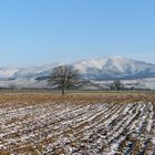 Winter im Markgräfler Land