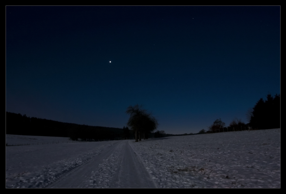 Winter im Mondlicht