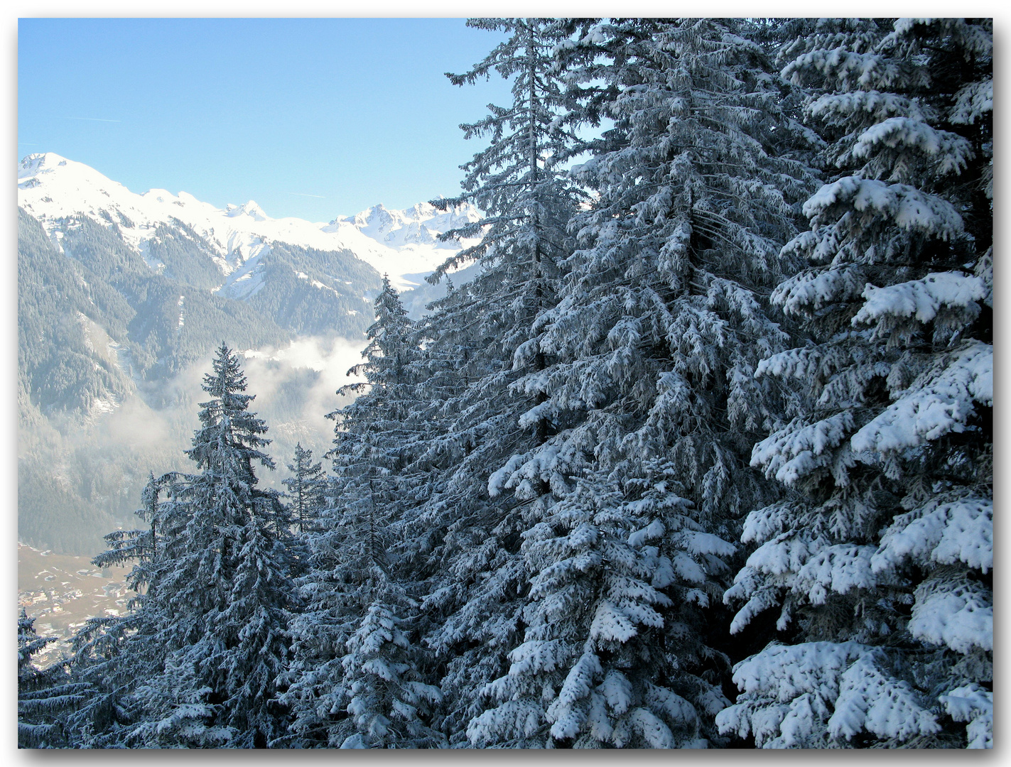 WINTER IM MONTAFON 2008