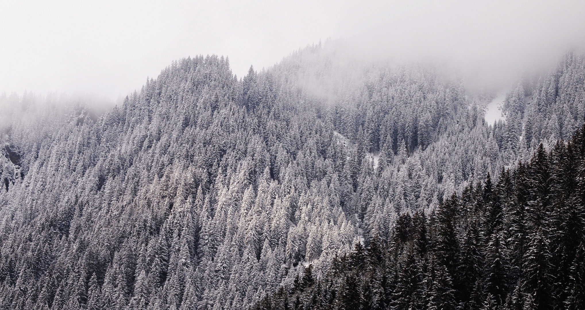 Winter im Montafon