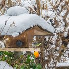 Winter im Montafon