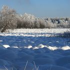 Winter im Moor