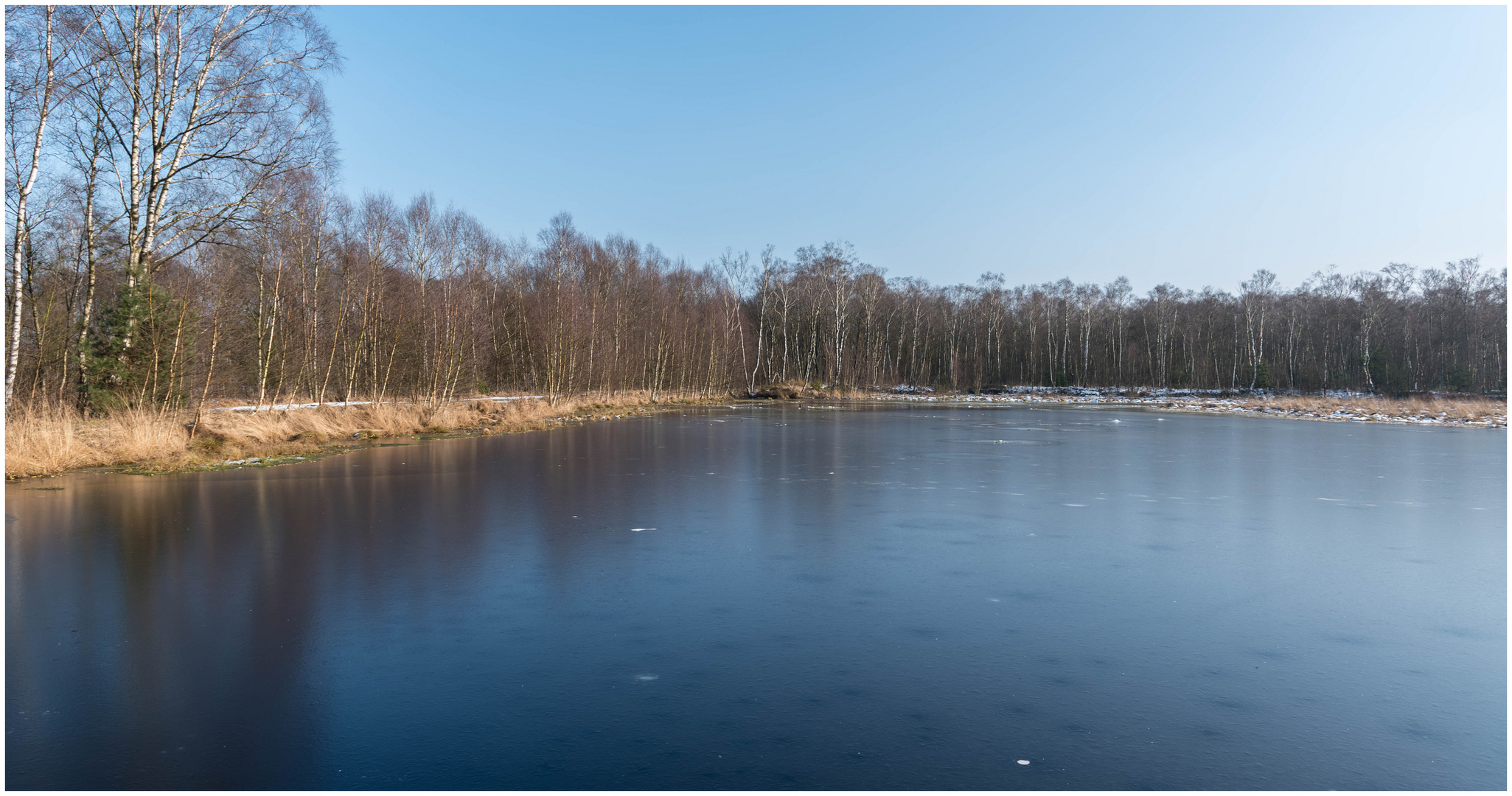 Winter im Moor