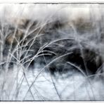 Winter im Moor ...