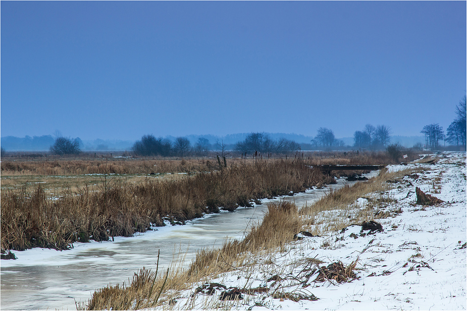 Winter im Moor