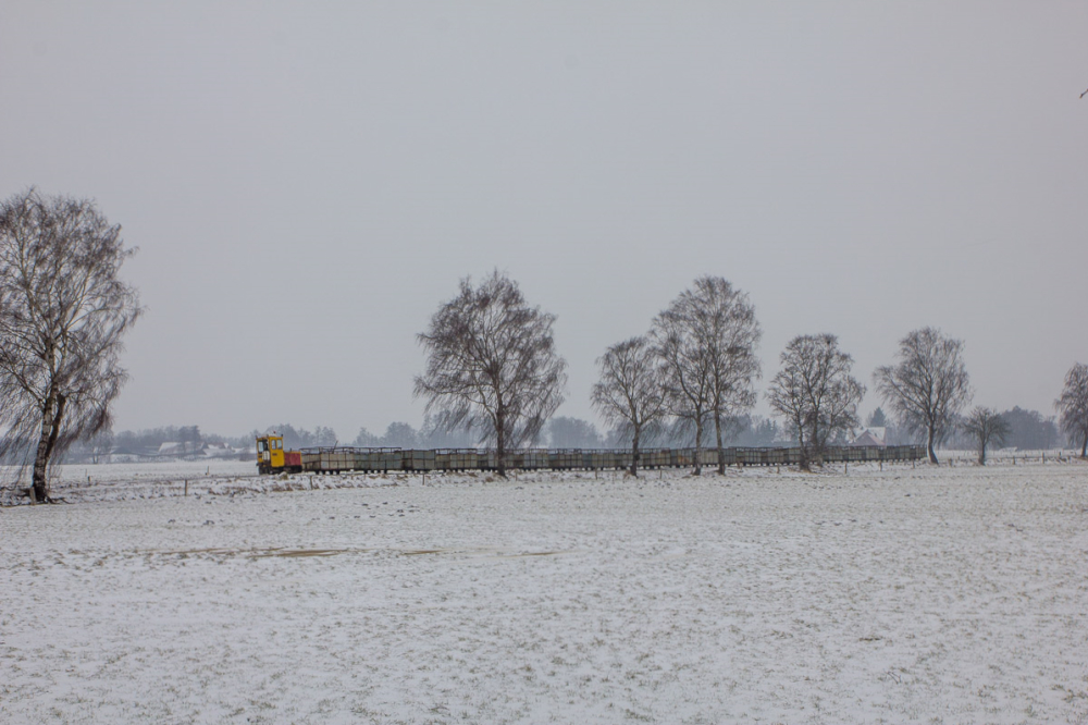 Winter im Moor