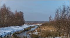 Winter im Moor