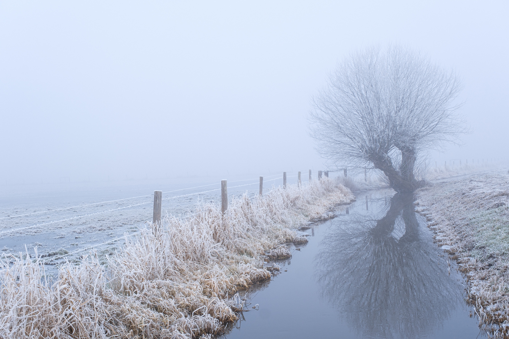 Winter im Moor