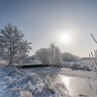 Winter im Moor