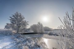 Winter im Moor