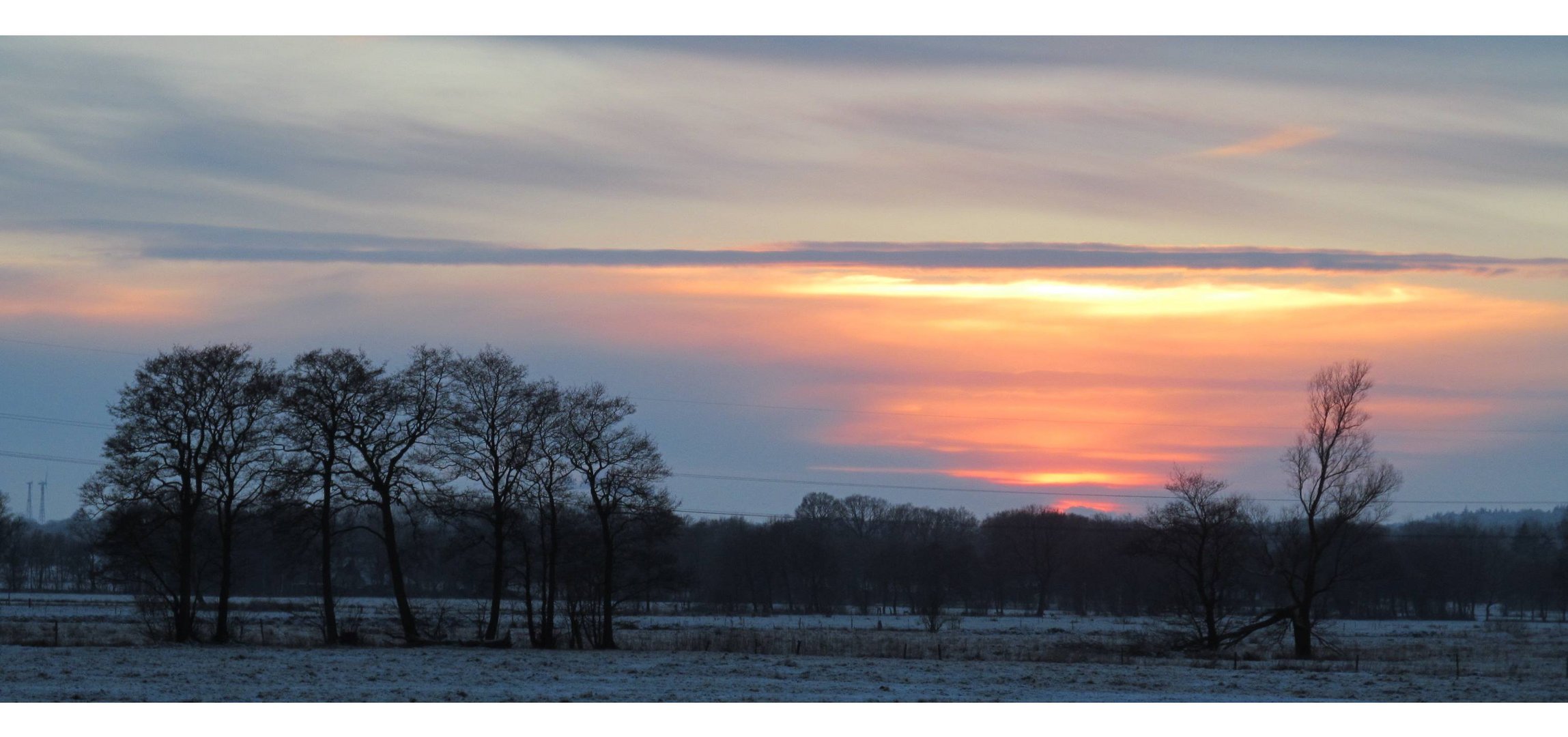 Winter im Moor ...