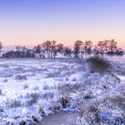 Winter im Moor