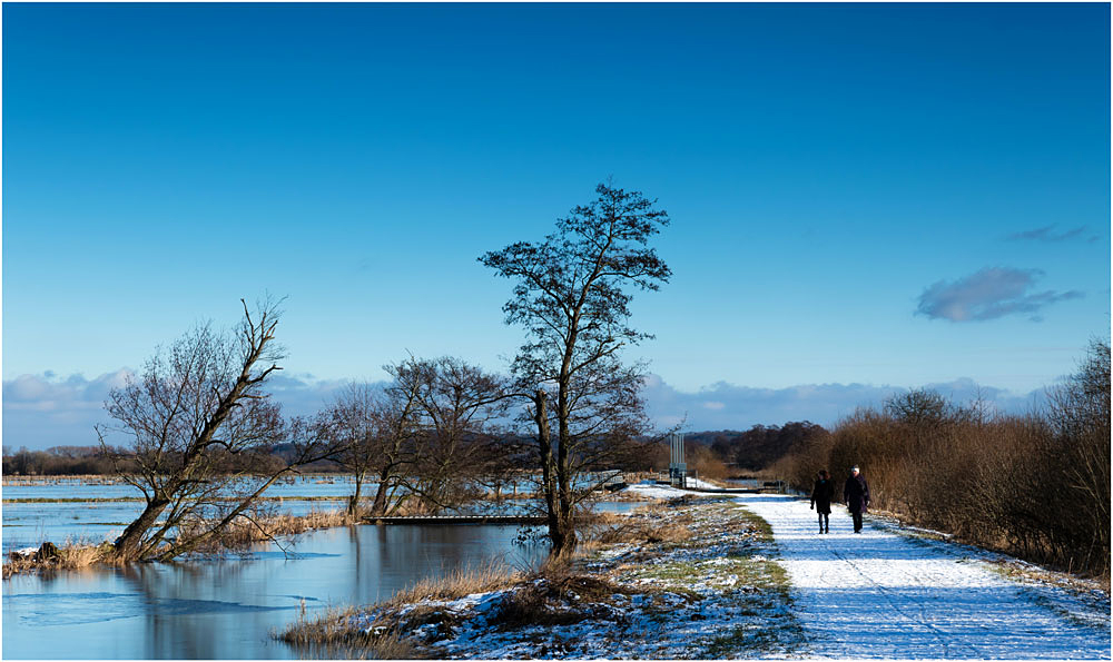 Winter im Moor