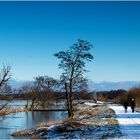 Winter im Moor